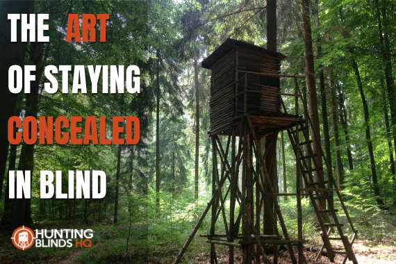The Art of Staying Comfortable and Concealed in Your Hunting Blind