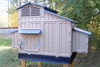 Snap Lock Big Chicken Coop with durable plastic construction in a backyard setting.