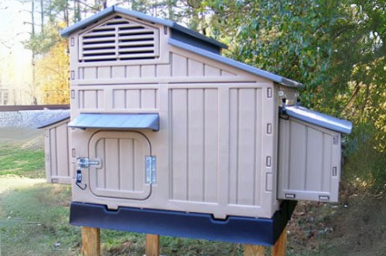 Large Plastic Snap Lock Chicken Coop with a Durable, Weather-Resistant Design.