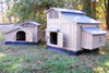 Snap Lock Big Chicken Coop with durable plastic construction in a backyard setting.