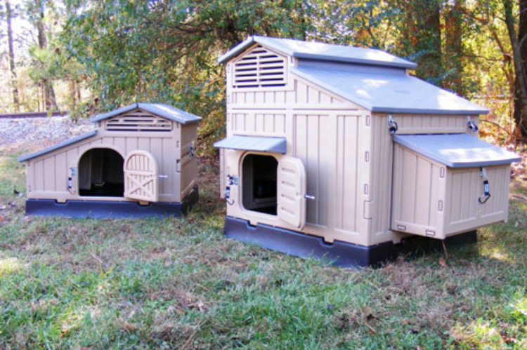 Large Plastic Snap Lock Chicken Coop with a Durable, Weather-Resistant Design.
