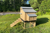 Snap Lock Coop Stand with Stairs – Elevated Platform for Easy Access and Ventilation for Your Chicken Coop