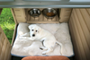 Snap Lock Large Dog House with built-in food and water nook, designed for easy assembly.