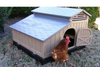 Snap Lock Standard Chicken Coop with durable, weather-resistant  design and easy assembly.