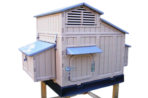 snap lock big chicken coop