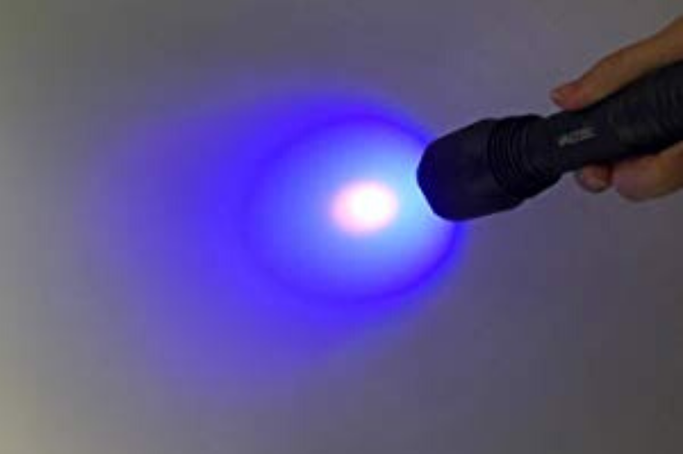 Whitetail Deer Blood Tracking Light Green/Red/Blue Cree LED Flashlight - HuntingblindsHQ