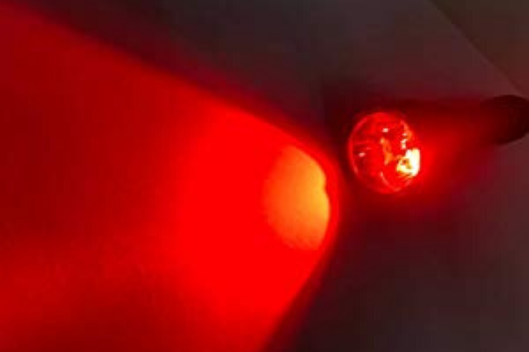 Whitetail Deer Blood Tracking Light Green/Red/Blue Cree LED Flashlight - HuntingblindsHQ