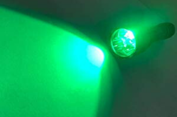 Whitetail Deer Blood Tracking Light Green/Red/Blue Cree LED Flashlight - HuntingblindsHQ